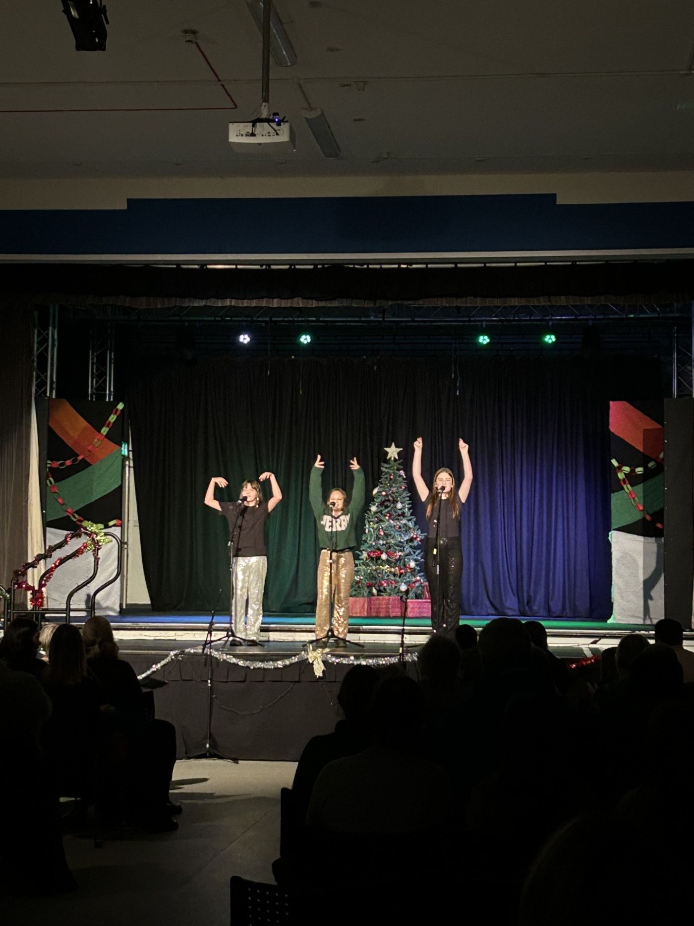 Stour Valley Community School Puts on a Festive Show