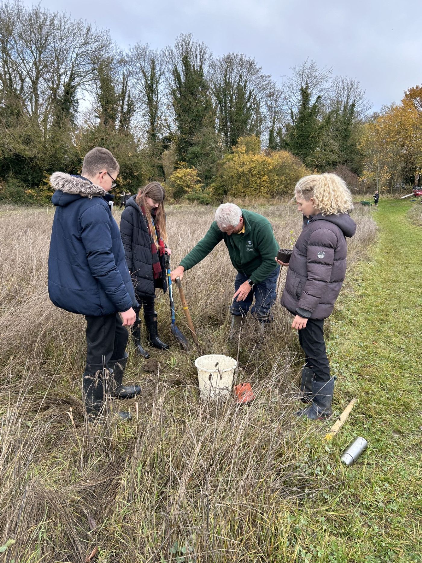 Sapling Planting