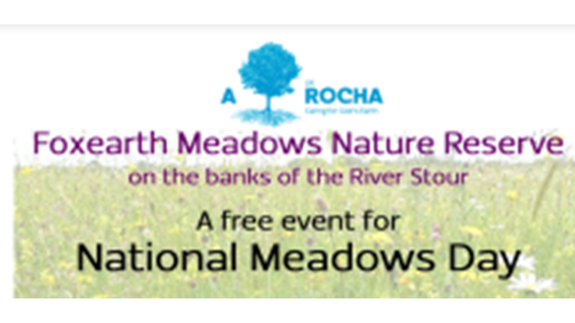 National Meadows Day (2 July 2022) - Open Day at Foxearth Meadows