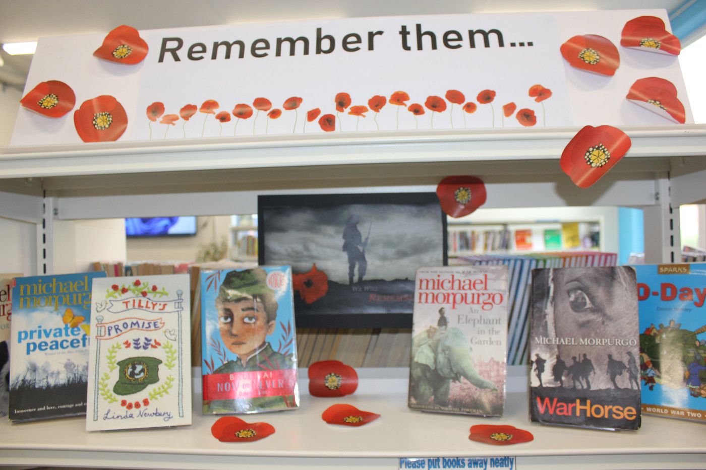 Library display