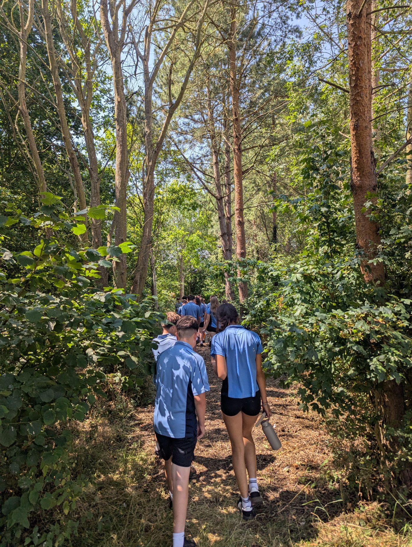 Hands-On Learning and New Experiences Mark Final Enhancement Day